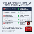 gid://shopify/MediaImage/31245632340141