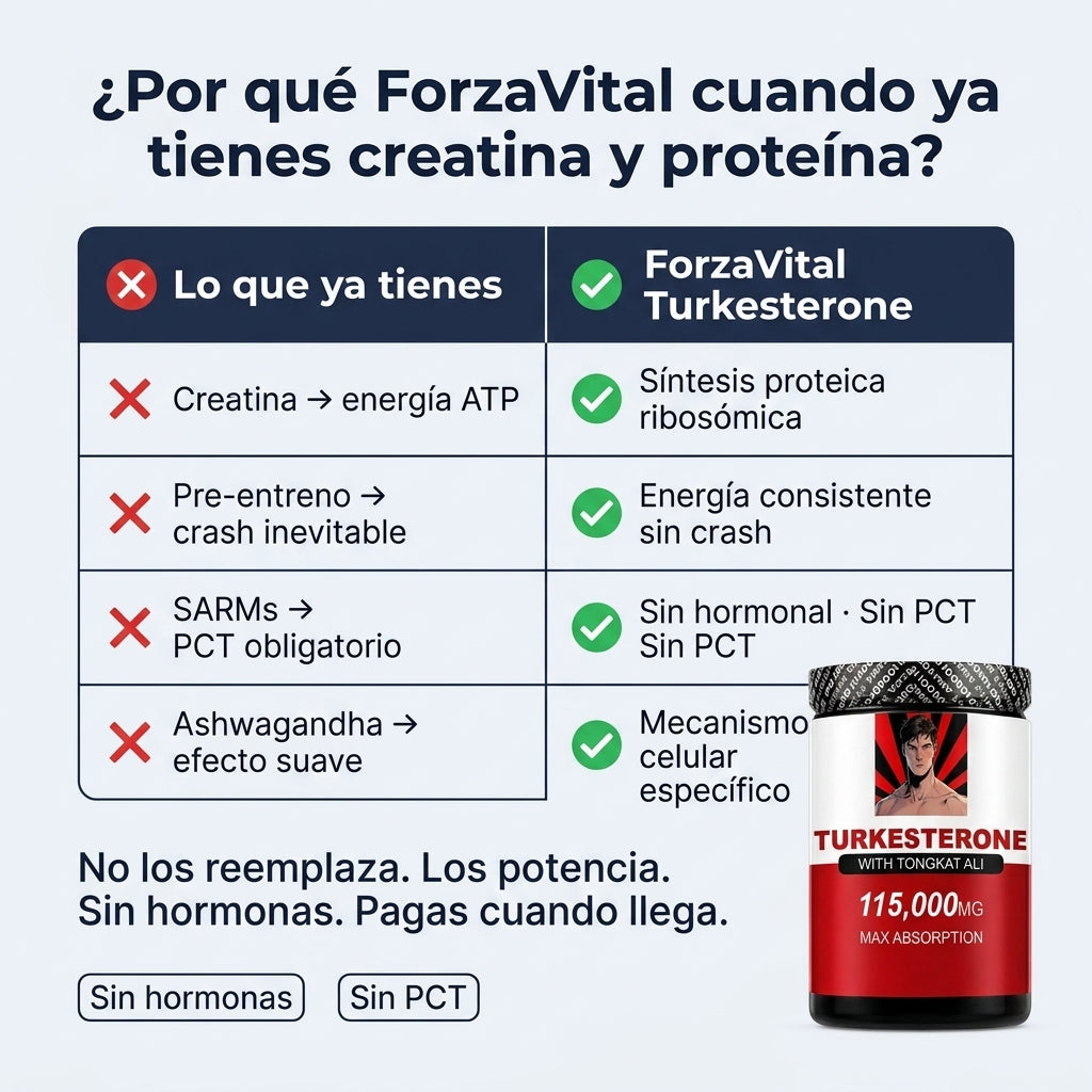 gid://shopify/MediaImage/31245632340141