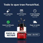 gid://shopify/MediaImage/31245632372909