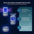 gid://shopify/MediaImage/31245648658605