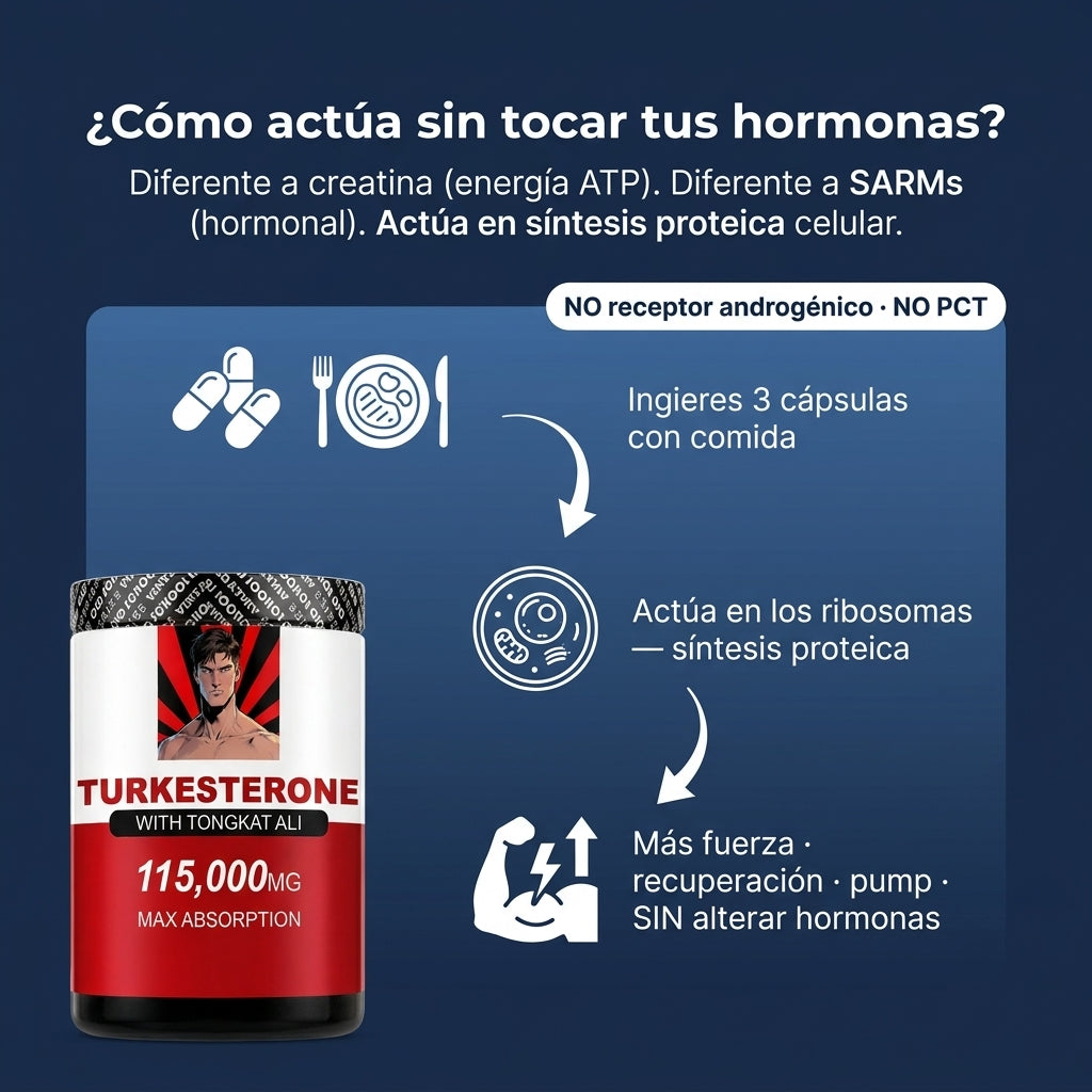 gid://shopify/MediaImage/31245632405677