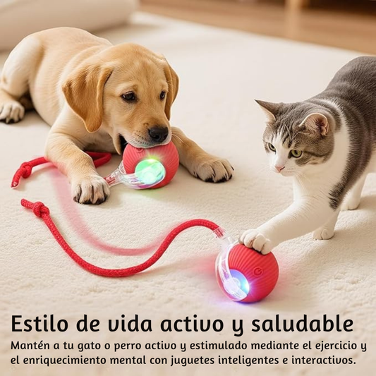 Pelota Rodante Inteligente Para Gatos y Perros