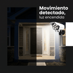 gid://shopify/MediaImage/31245653311661